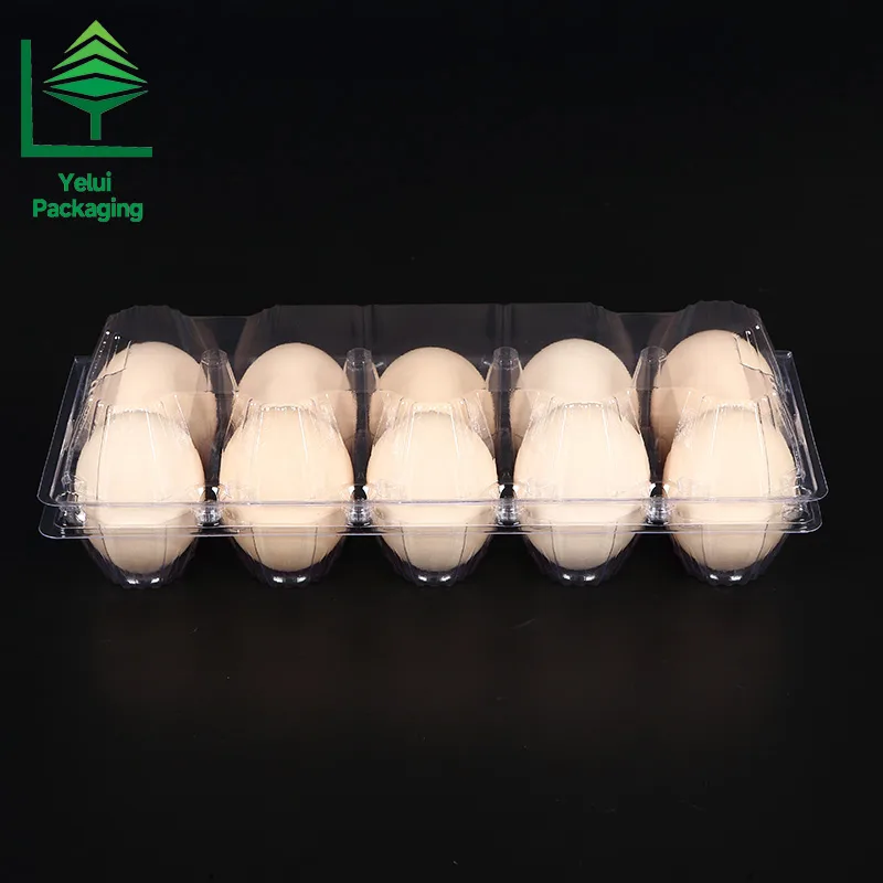 M10 10 Eggs Tray (Large), clear PET egg packaging tray – photo 003