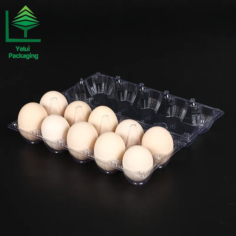 M10 10 Eggs Tray (Large), clear PET egg packaging tray – photo 004