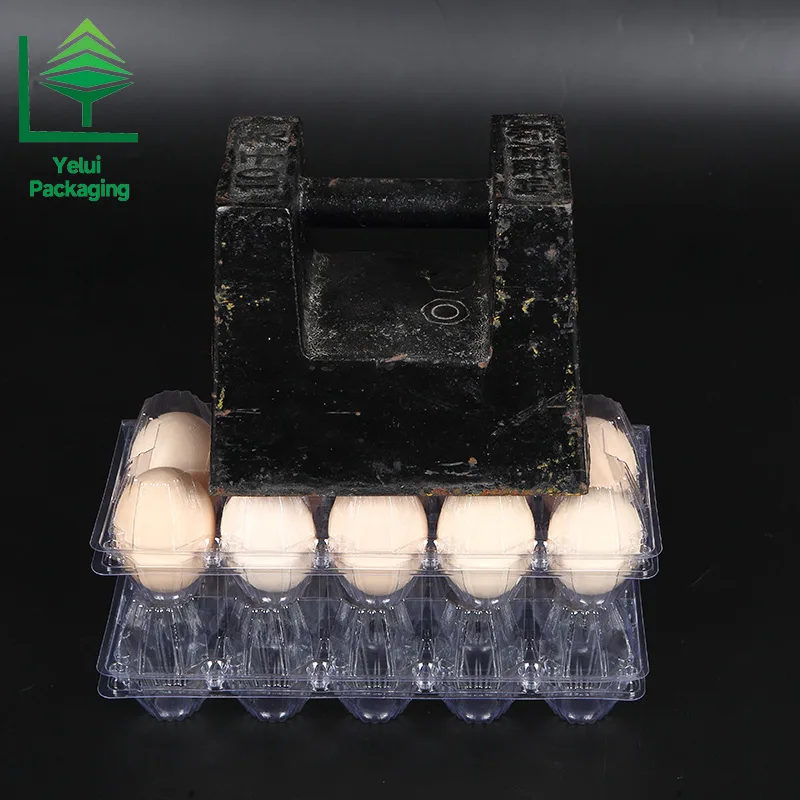 M10 10 Eggs Tray (Large), clear PET egg packaging tray – photo 005