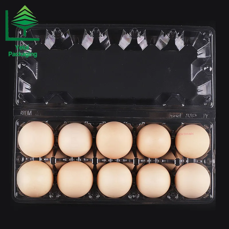 M10 10 Eggs Tray (Large), clear PET egg packaging tray – photo 006