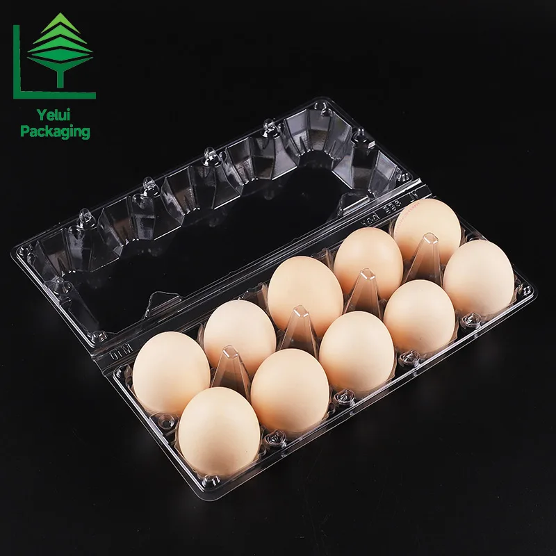 M10 10 Eggs Tray (Large), clear PET egg packaging tray – photo 007