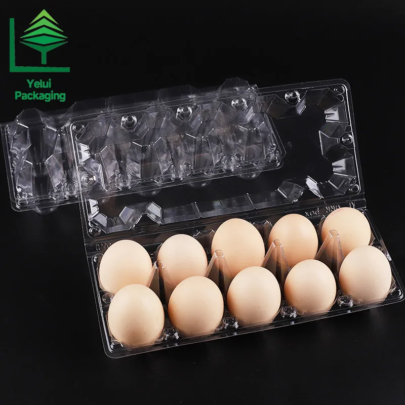 M10 10 Eggs Tray (Large), clear PET egg packaging tray – photo 009