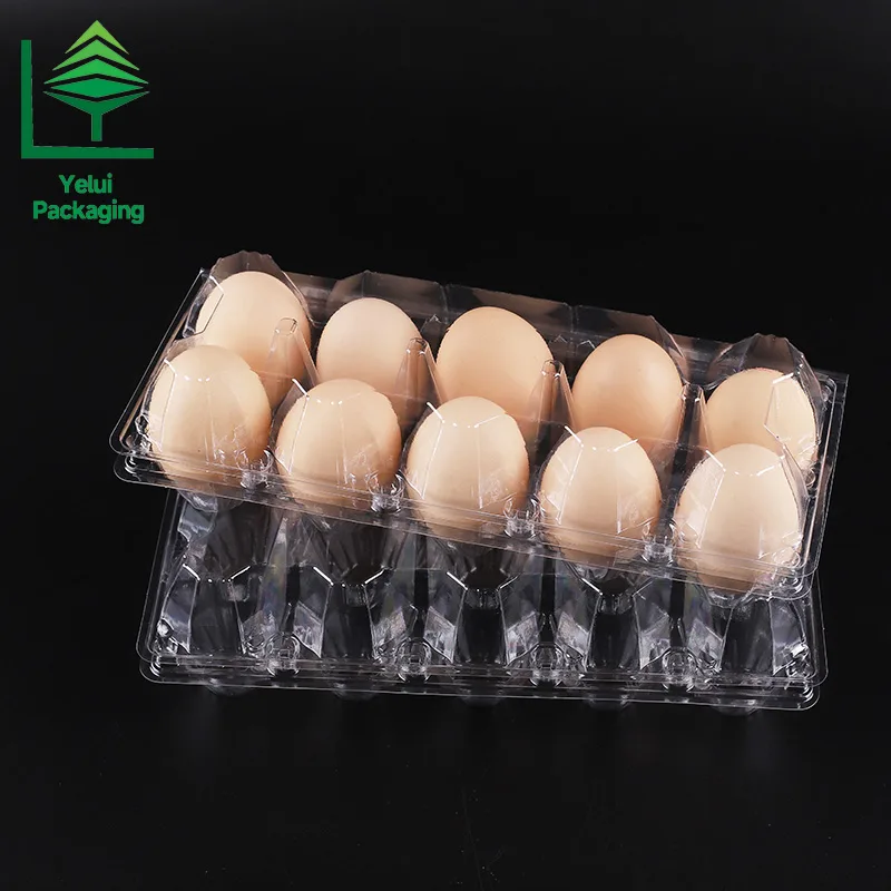 M10 10 Eggs Tray (Large), clear PET egg packaging tray – photo 011