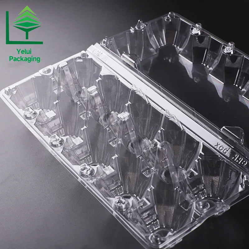 M10 10 Eggs Tray (Large), clear PET egg packaging tray – photo 013