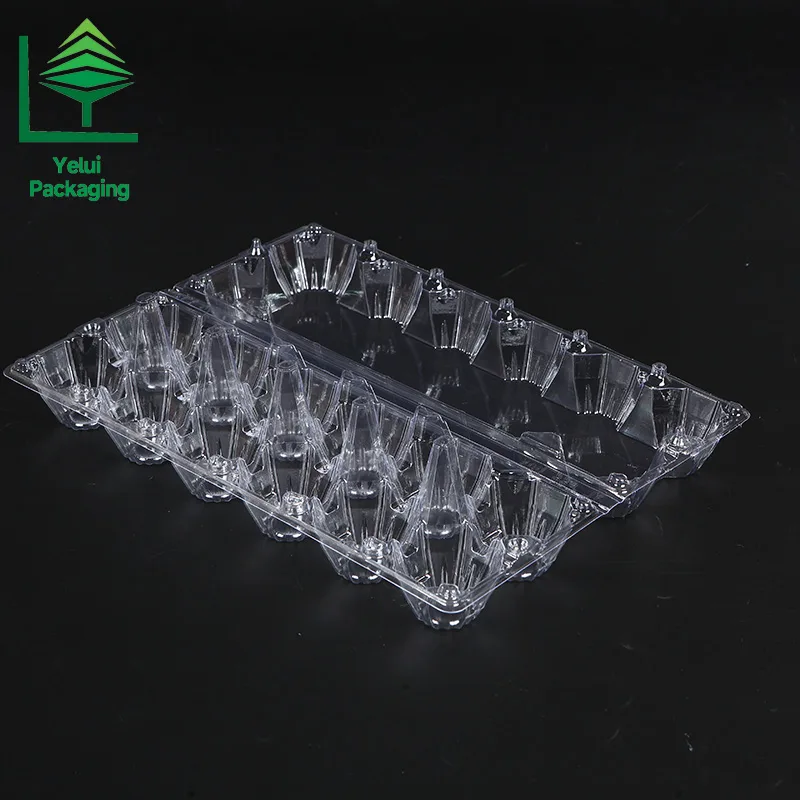 M12X2 12 Eggs Tray in 2×6 Shape (Large), clear PET egg packaging tray – photo 001