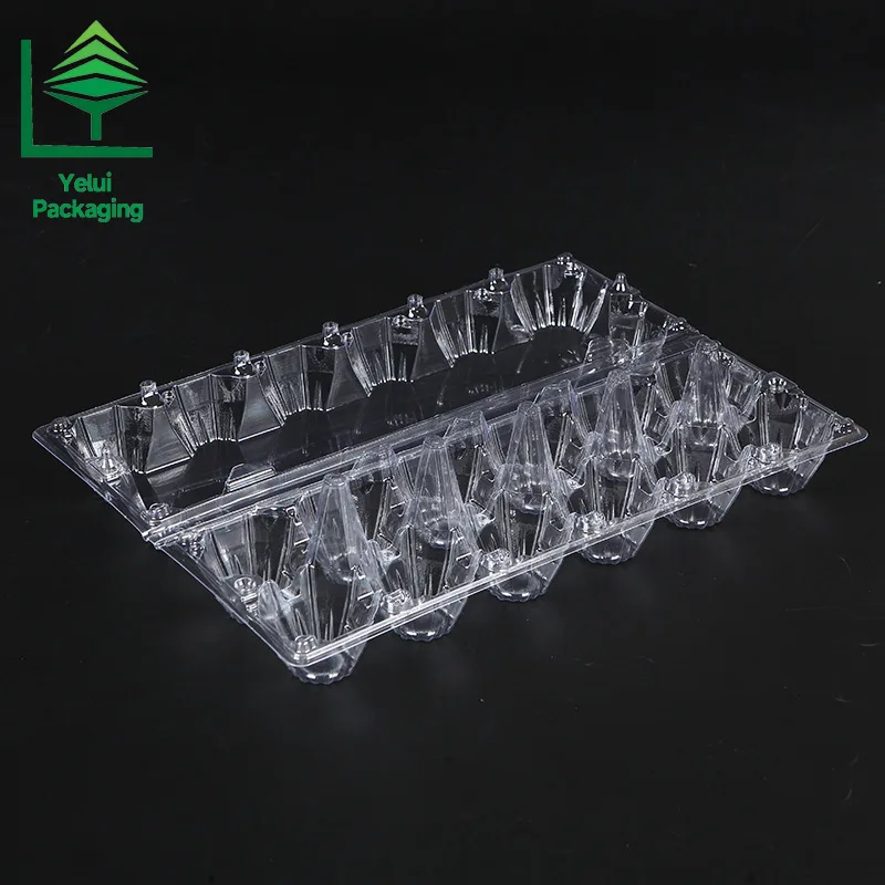M12X2 12 Eggs Tray in 2×6 Shape (Large), clear PET egg packaging tray – photo 002