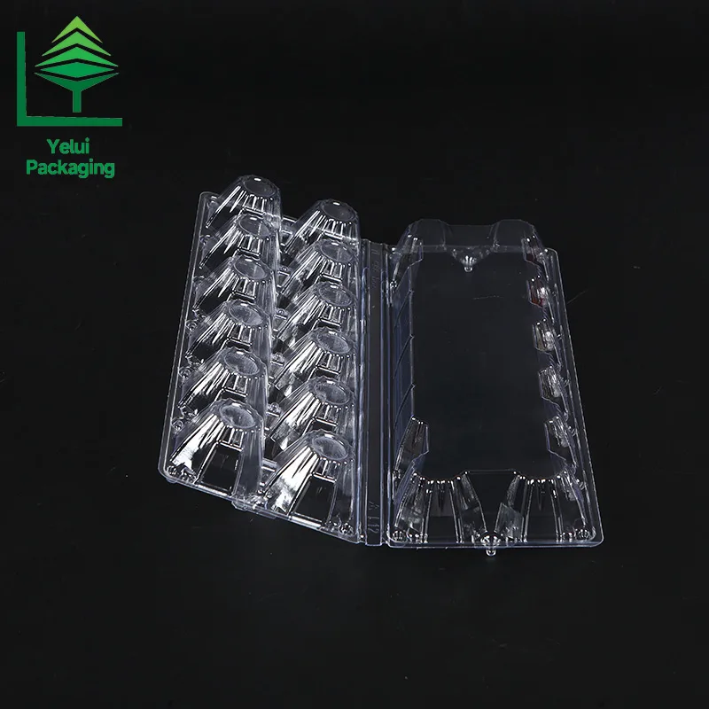 M12X2 12 Eggs Tray in 2×6 Shape (Large), clear PET egg packaging tray – photo 003