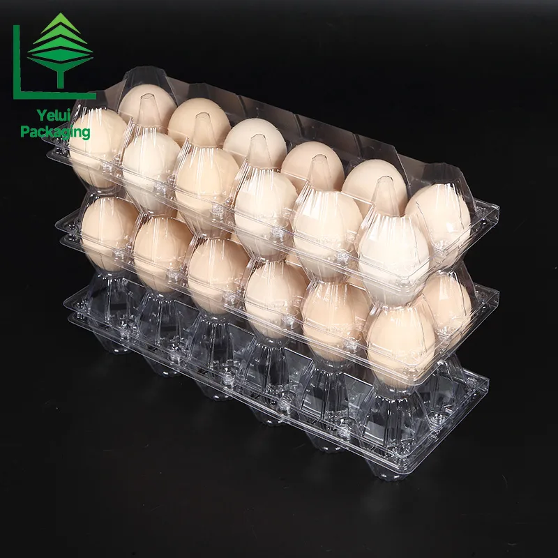 M12X2 12 Eggs Tray in 2×6 Shape (Large), clear PET egg packaging tray – photo 004