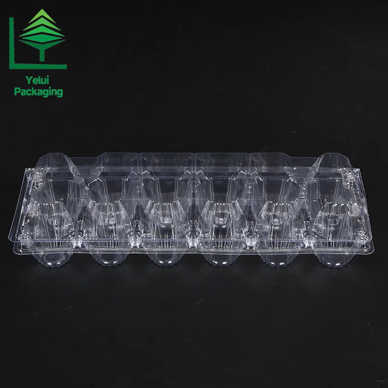 M12X2 12 Eggs Tray in 2×6 Shape (Large), clear PET egg packaging tray – photo 005