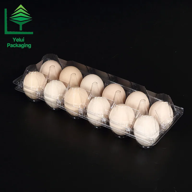 M12X2 12 Eggs Tray in 2×6 Shape (Large), clear PET egg packaging tray – photo 006