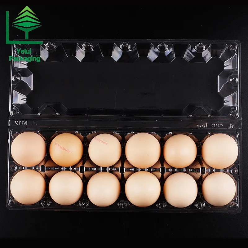 M12X2 12 Eggs Tray in 2×6 Shape (Large), clear PET egg packaging tray – photo 007