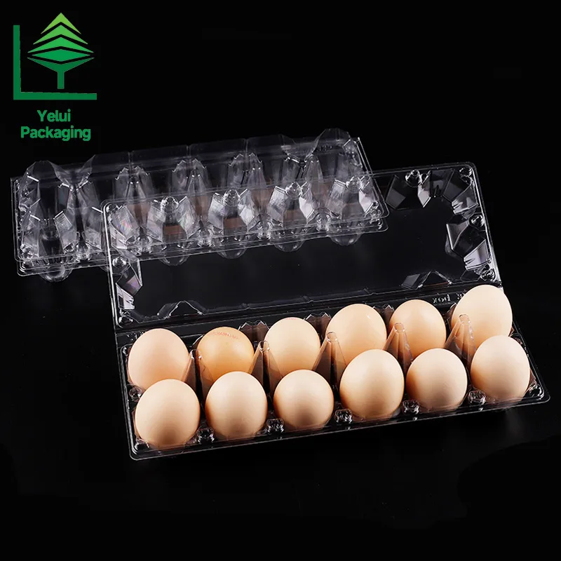 M12X2 12 Eggs Tray in 2×6 Shape (Large), clear PET egg packaging tray – photo 008