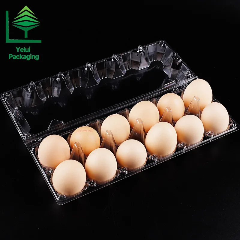 M12X2 12 Eggs Tray in 2×6 Shape (Large), clear PET egg packaging tray – photo 009