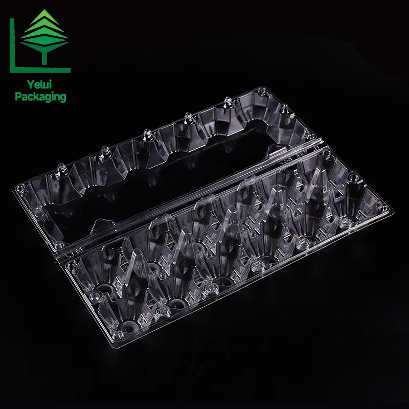 M12X2 12 Eggs Tray in 2×6 Shape (Large), clear PET egg packaging tray – photo 010