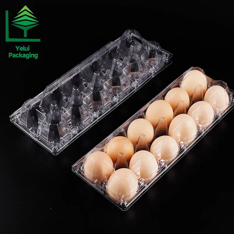 M12X2 12 Eggs Tray in 2×6 Shape (Large), clear PET egg packaging tray – photo 011