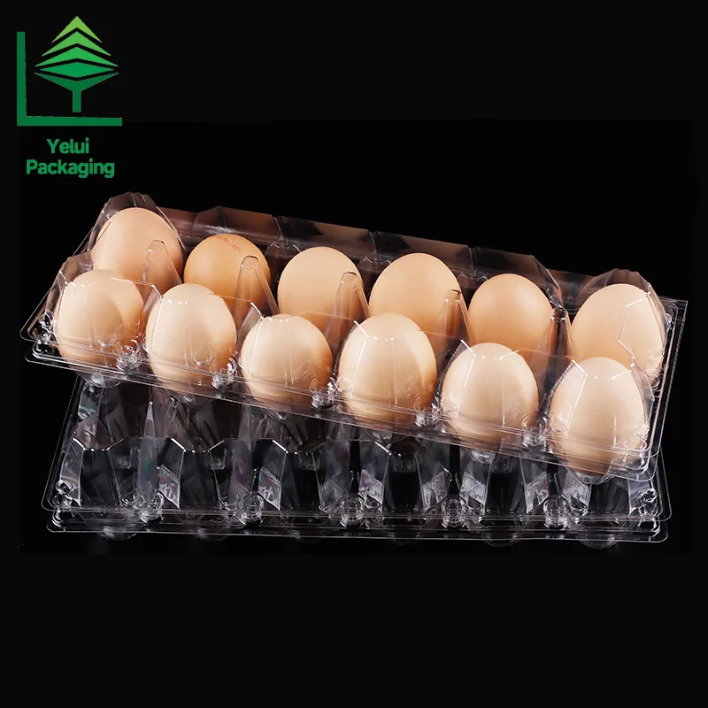 M12X2 12 Eggs Tray in 2×6 Shape (Large), clear PET egg packaging tray – photo 012