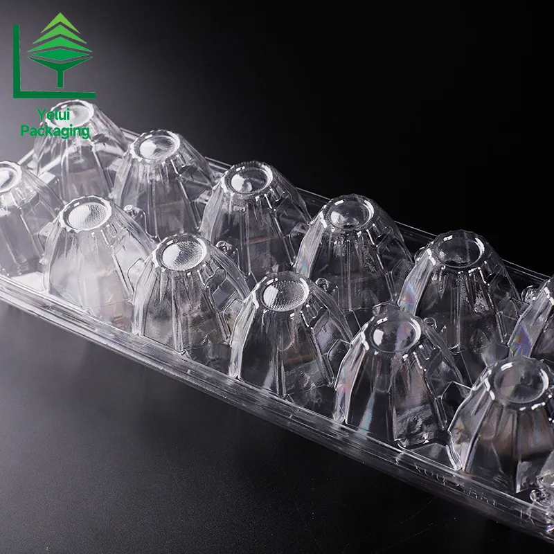 M12X2 12 Eggs Tray in 2×6 Shape (Large), clear PET egg packaging tray – photo 013