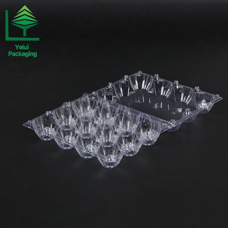 M12X3 12 Eggs Tray in 3×4 Shape (Large), clear PET egg packaging tray – photo 001