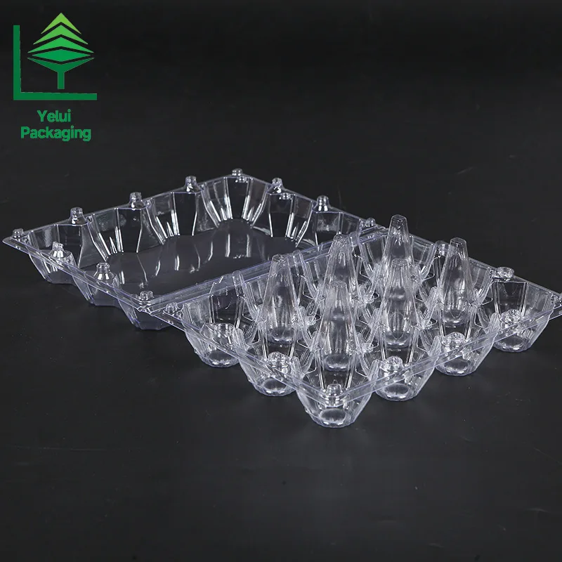 M12X3 12 Eggs Tray in 3×4 Shape (Large), clear PET egg packaging tray – photo 002