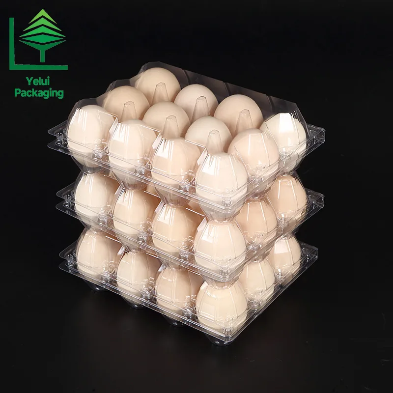 M12X3 12 Eggs Tray in 3×4 Shape (Large), clear PET egg packaging tray – photo 006