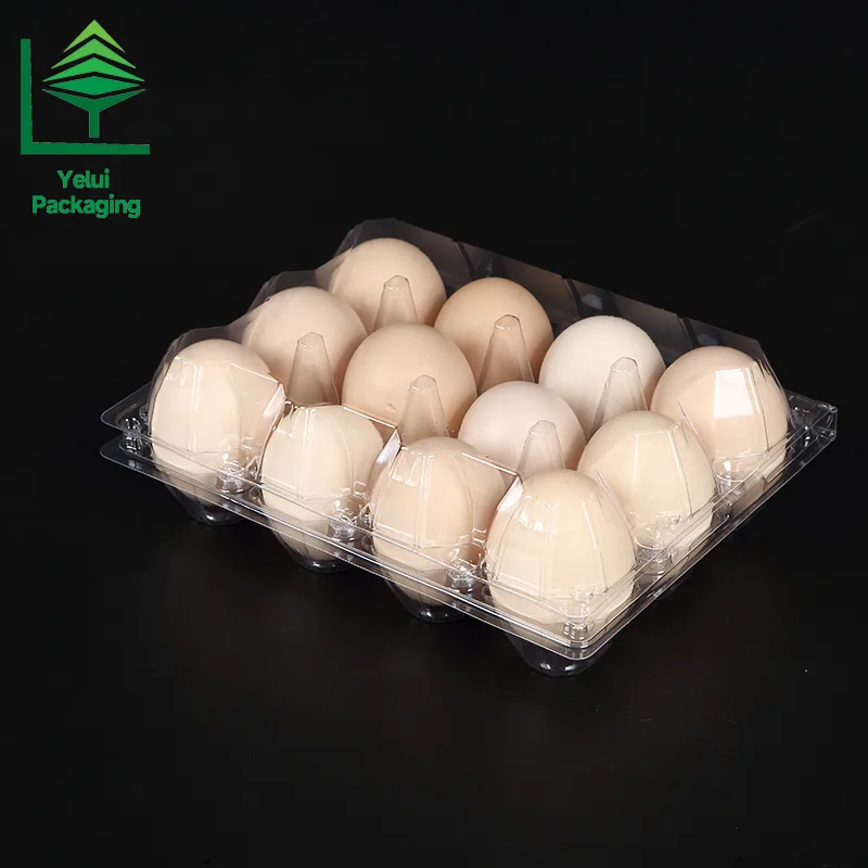 M12X3 12 Eggs Tray in 3×4 Shape (Large), clear PET egg packaging tray – photo 007