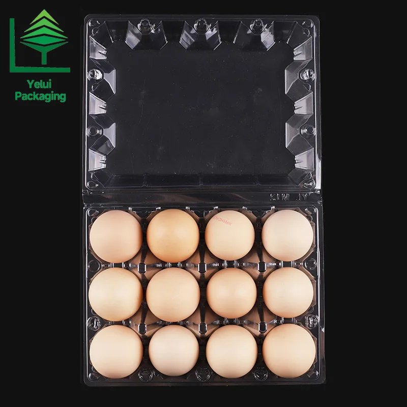 M12X3 12 Eggs Tray in 3×4 Shape (Large), clear PET egg packaging tray – photo 008