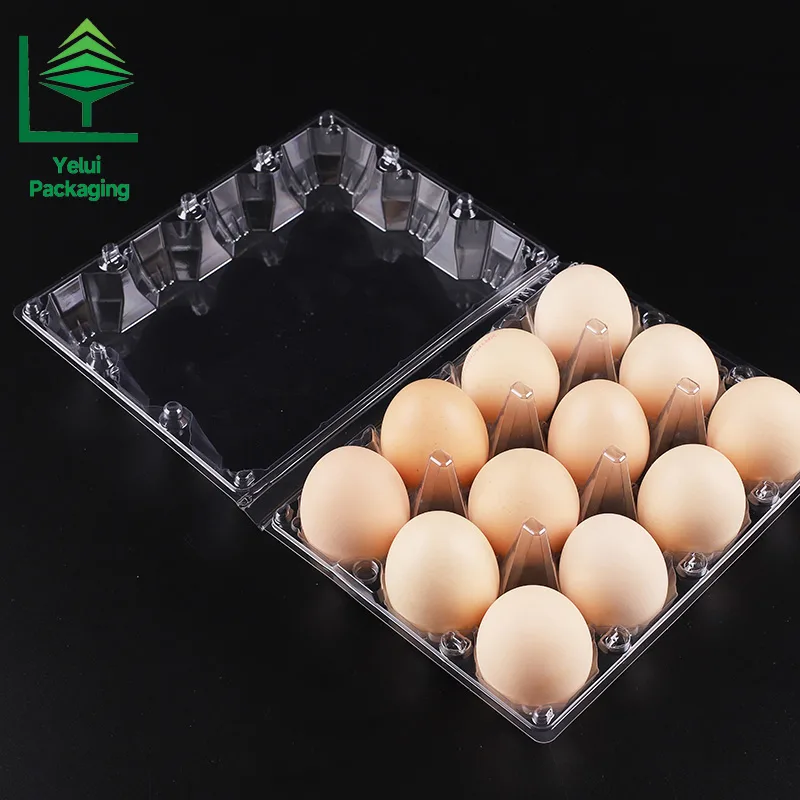 M12X3 12 Eggs Tray in 3×4 Shape (Large), clear PET egg packaging tray – photo 009