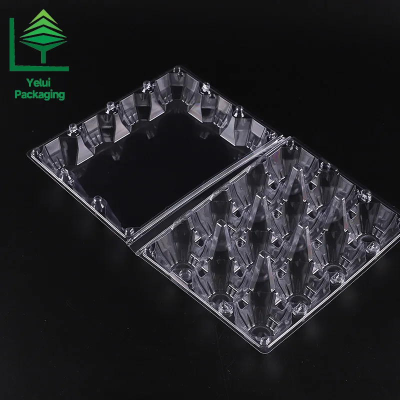 M12X3 12 Eggs Tray in 3×4 Shape (Large), clear PET egg packaging tray – photo 010