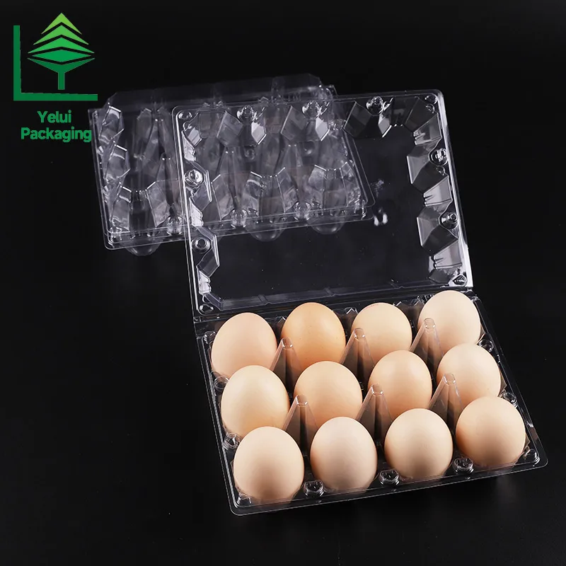 M12X3 12 Eggs Tray in 3×4 Shape (Large), clear PET egg packaging tray – photo 011