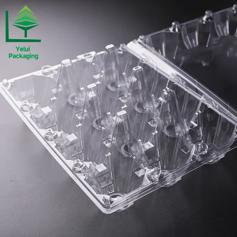 M12X3 12 Eggs Tray in 3×4 Shape (Large), clear PET egg packaging tray – photo 012