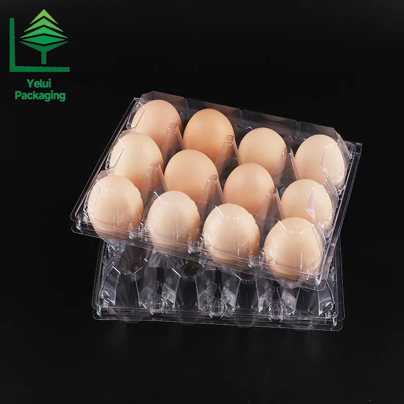 M12X3 12 Eggs Tray in 3×4 Shape (Large), clear PET egg packaging tray – photo 015