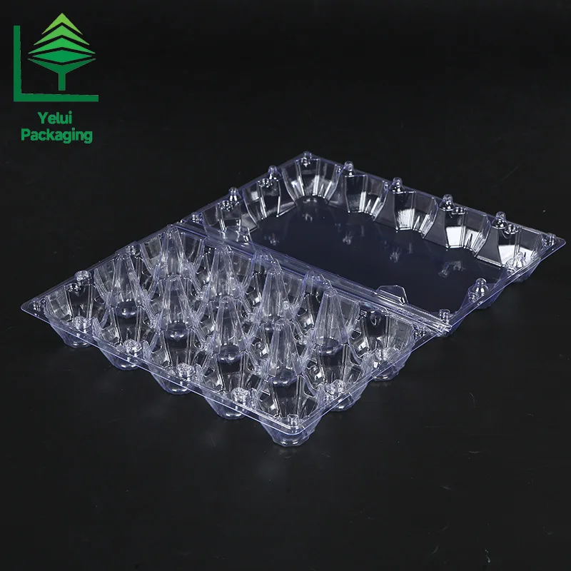 M15 15 Eggs Tray (Large), clear PET egg packaging tray – photo 001