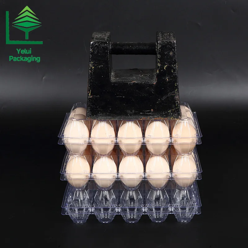 M15 15 Eggs Tray (Large), clear PET egg packaging tray – photo 002