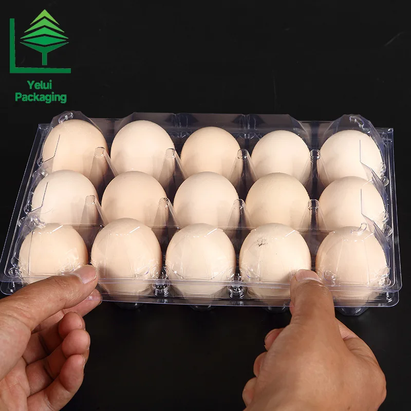 M15 15 Eggs Tray (Large), clear PET egg packaging tray – photo 003