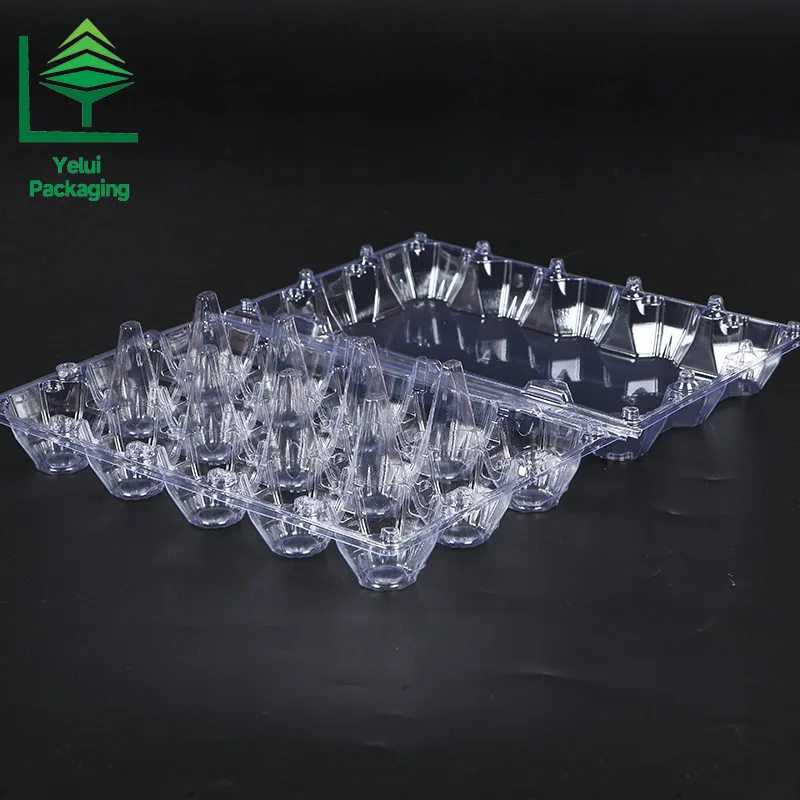 M15 15 Eggs Tray (Large), clear PET egg packaging tray – photo 004