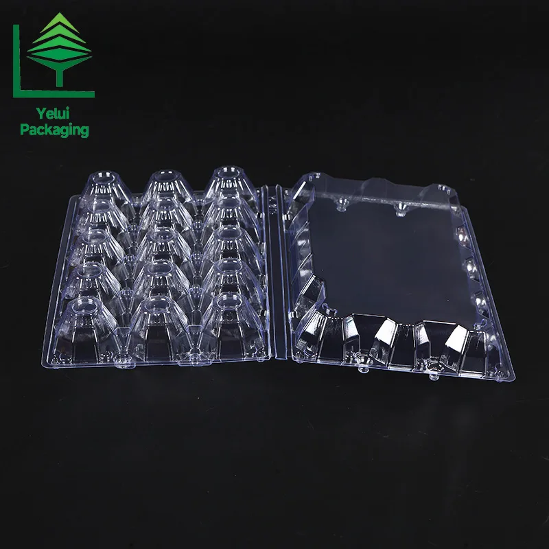 M15 15 Eggs Tray (Large), clear PET egg packaging tray – photo 006