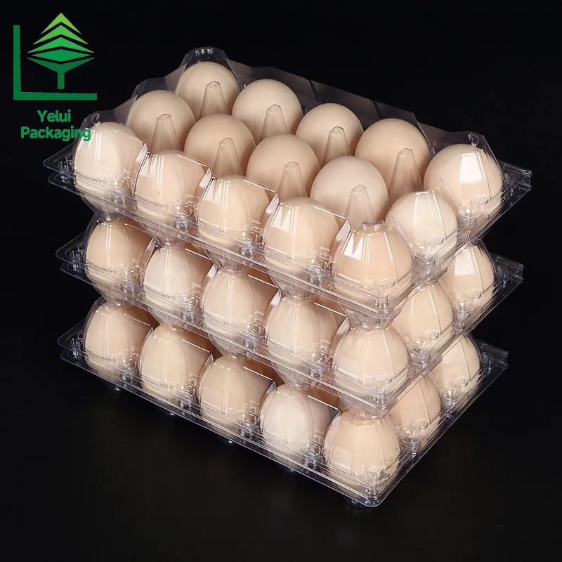 M15 15 Eggs Tray (Large), clear PET egg packaging tray – photo 009