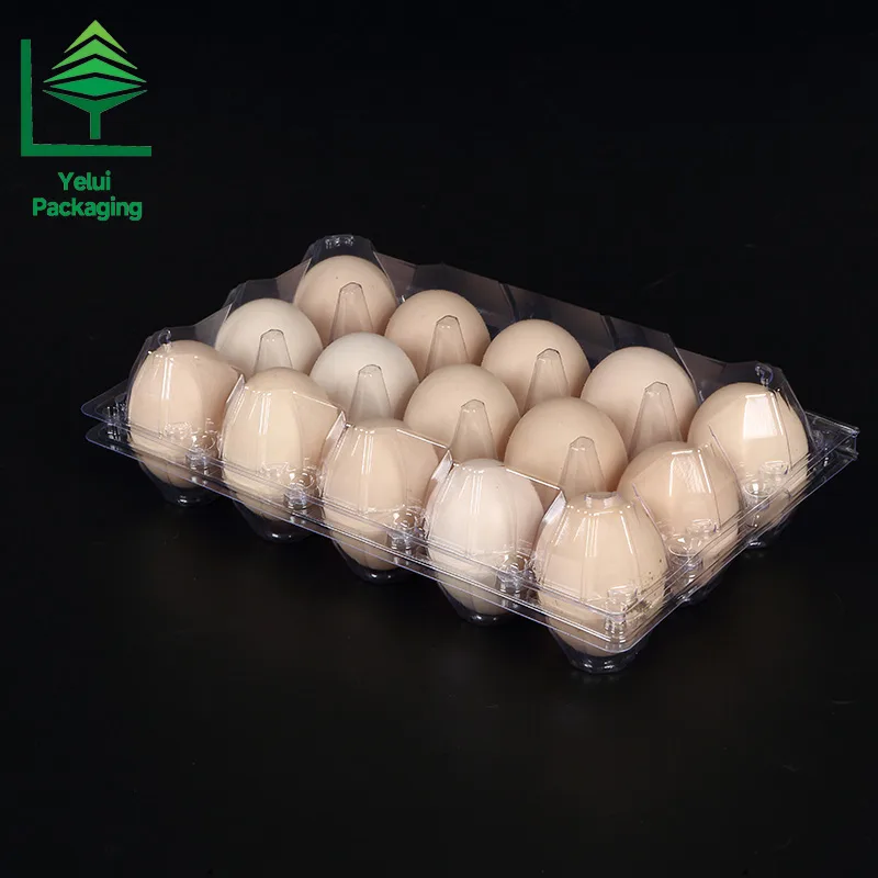 M15 15 Eggs Tray (Large), clear PET egg packaging tray – photo 010