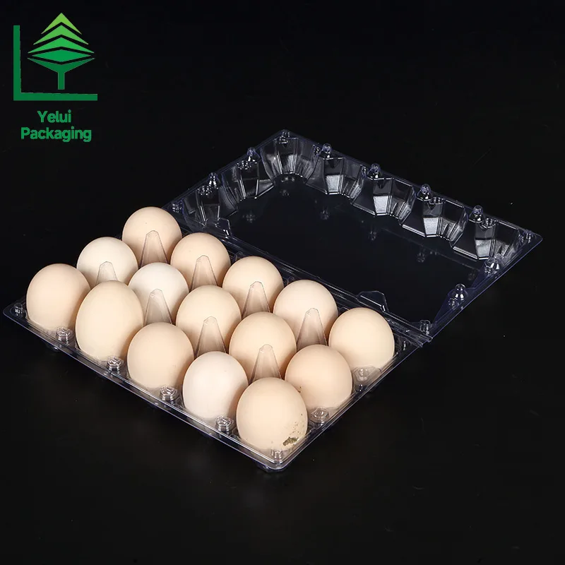 M15 15 Eggs Tray (Large), clear PET egg packaging tray – photo 011