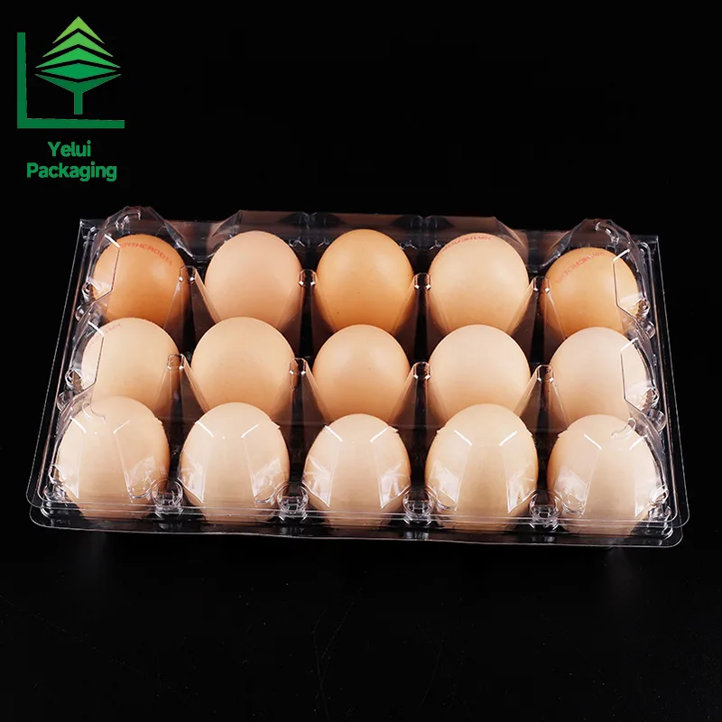 M15 15 Eggs Tray (Large), clear PET egg packaging tray – photo 012