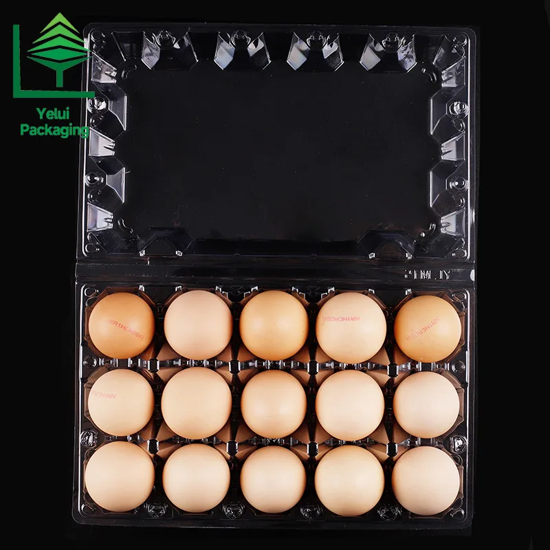 M15 15 Eggs Tray (Large), clear PET egg packaging tray – photo 013
