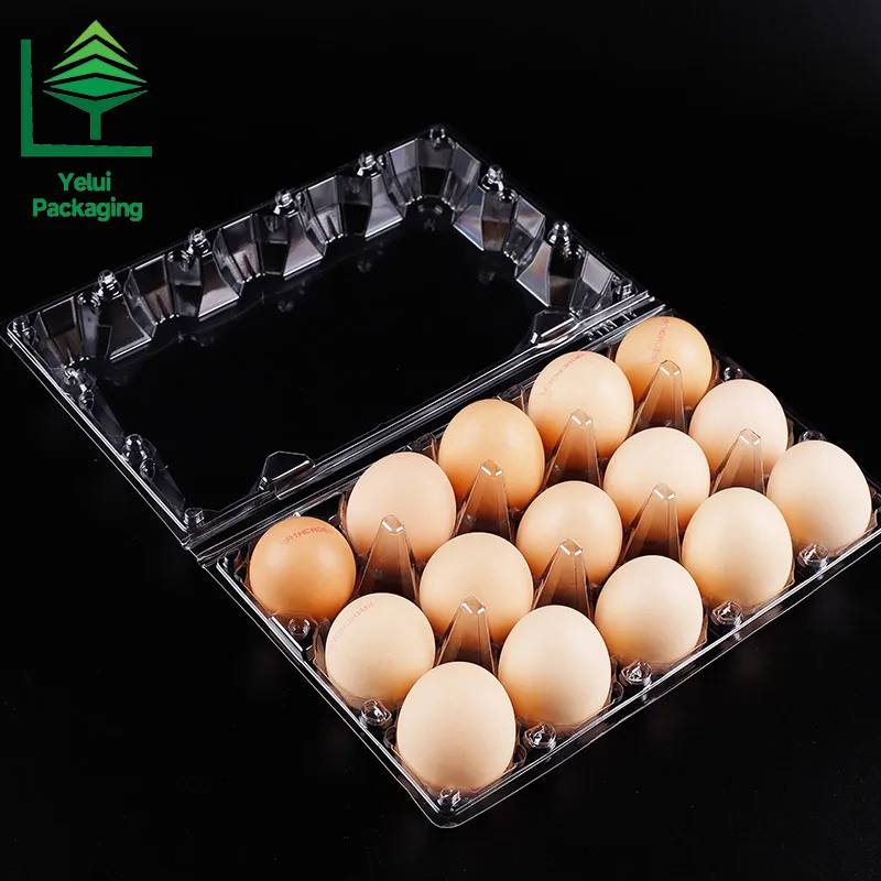 M15 15 Eggs Tray (Large), clear PET egg packaging tray – photo 014