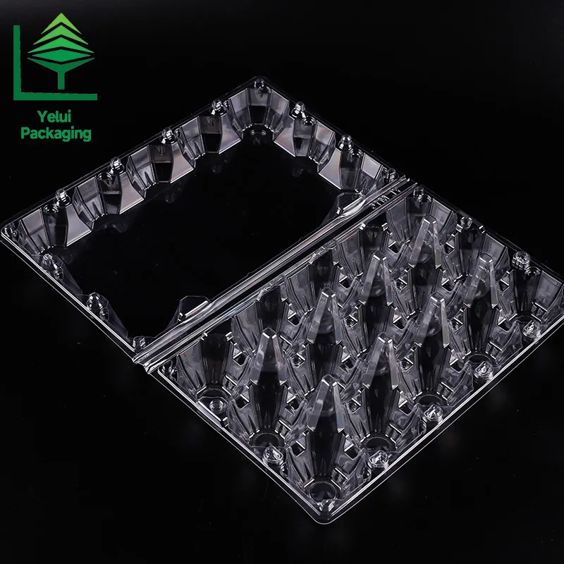 M15 15 Eggs Tray (Large), clear PET egg packaging tray – photo 015