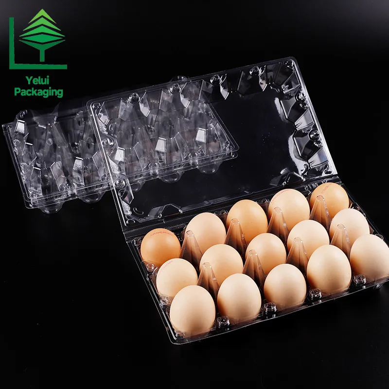 M15 15 Eggs Tray (Large), clear PET egg packaging tray – photo 016