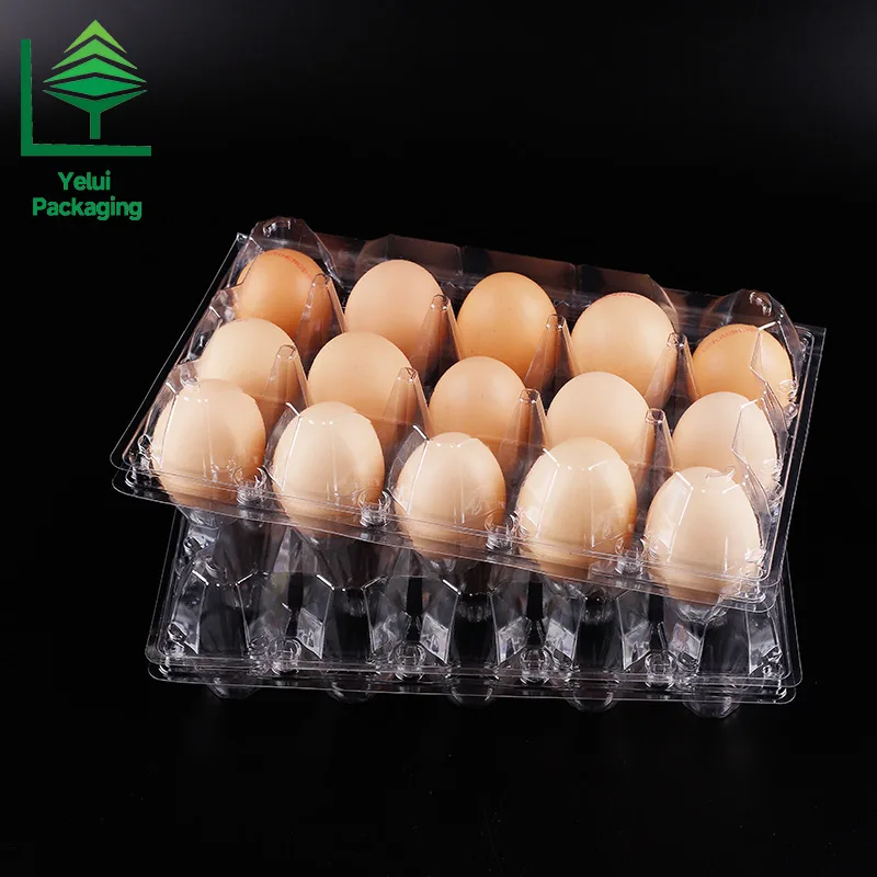 M15 15 Eggs Tray (Large), clear PET egg packaging tray – photo 018