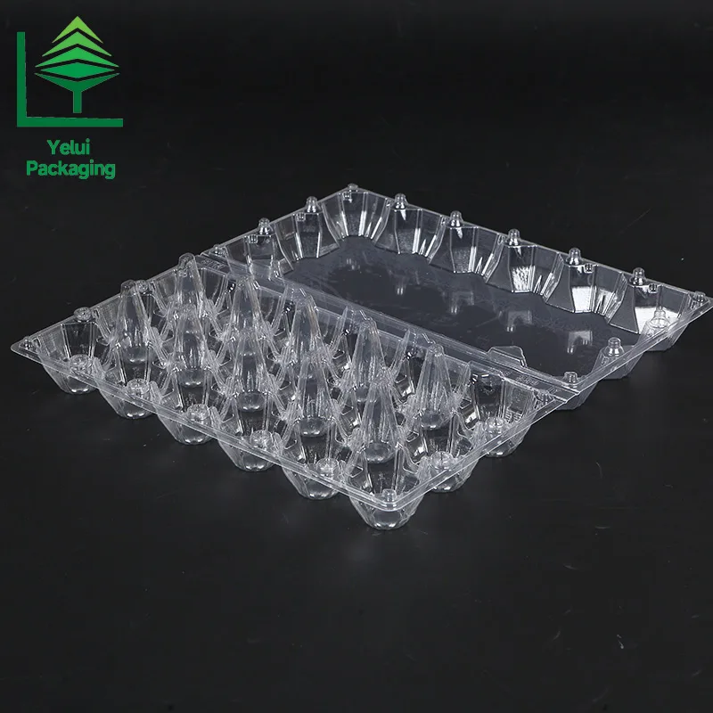 M18 18 Eggs Tray (Large), clear PET egg packaging tray – photo 001