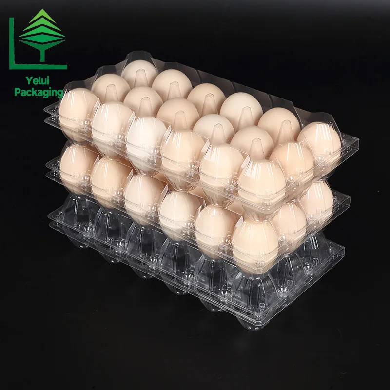 M18 18 Eggs Tray (Large), clear PET egg packaging tray – photo 004