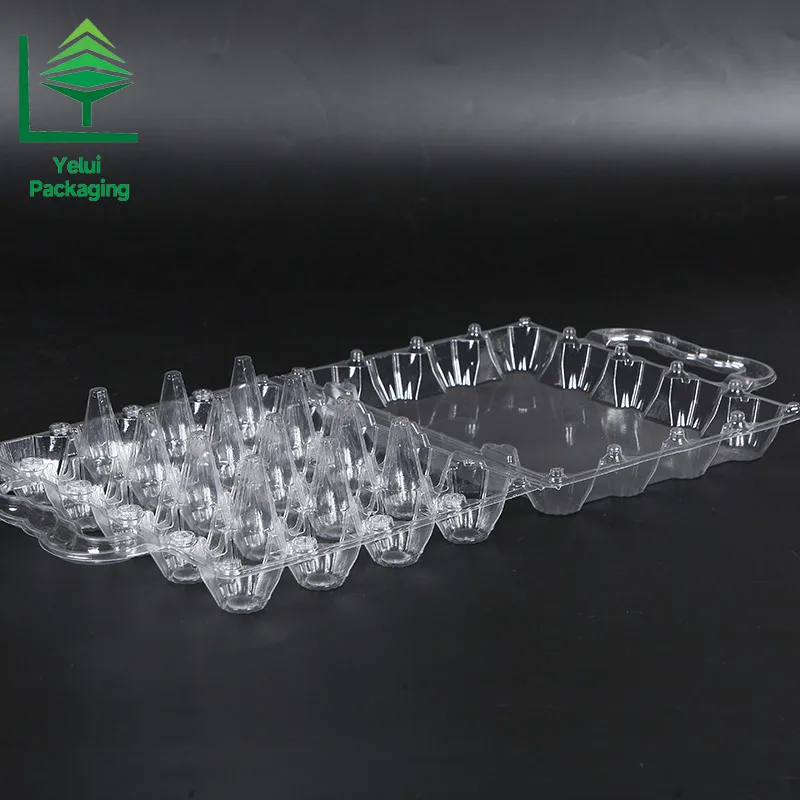 M20H 20 Eggs Tray with Handle (Medium), clear PET egg packaging tray – photo 002