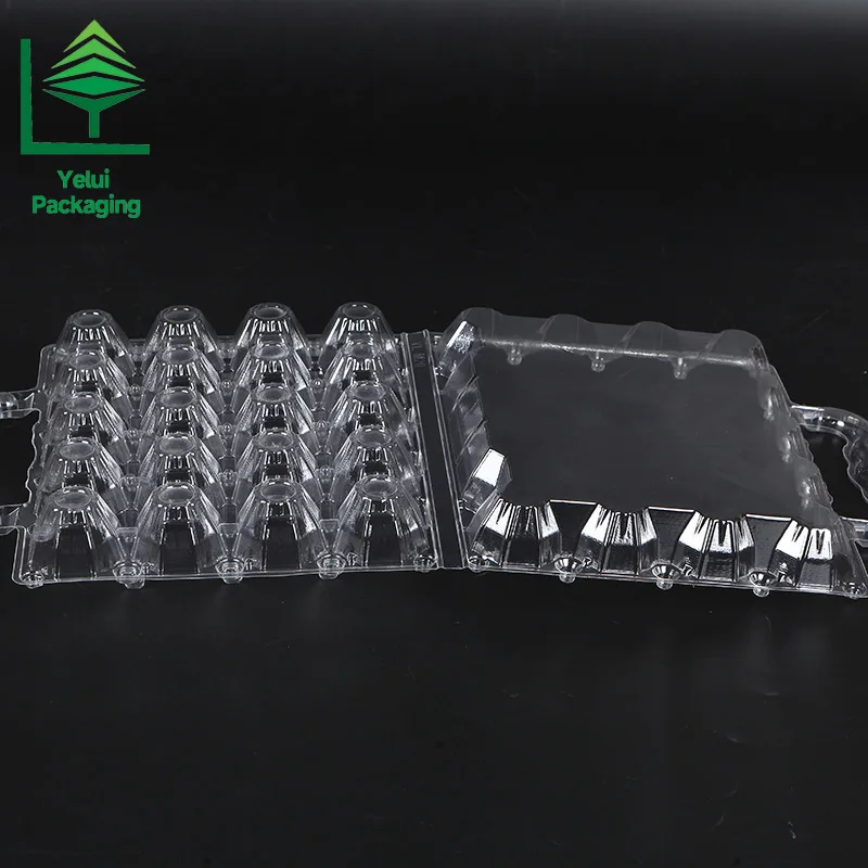 M20H 20 Eggs Tray with Handle (Medium), clear PET egg packaging tray – photo 003