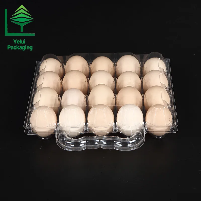 M20H 20 Eggs Tray with Handle (Medium), clear PET egg packaging tray – photo 004
